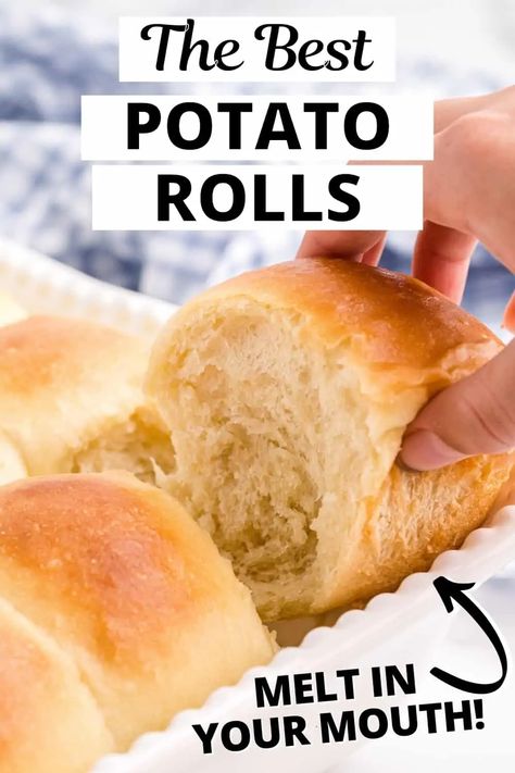 These potato rolls are extra soft, fluffy, and basically the best dinner rolls ever. Perfect for Thanksgiving, the holidays, or any time! Front Bangs Haircut, Style Front Bangs, Potato Bread Rolls, Potato Roll Recipe, Potato Dinner Rolls Recipe, Hairstyles For Holiday, Harvest Treats, Potato Dinner Rolls, Best Dinner Rolls