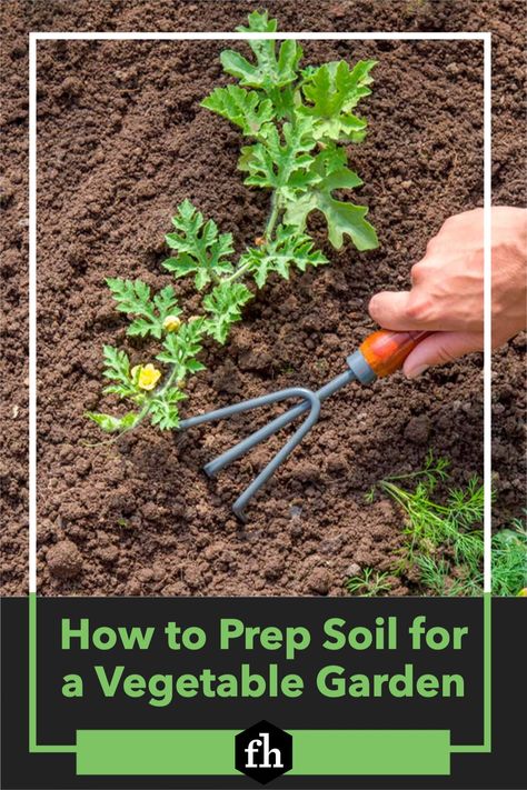 How to Prep Soil for a Vegetable Garden Vegetable Beds Raised, Soil Testing, Soil Layers, Sandy Soil, Clay Soil, Peat Moss, Top Soil, Plant Roots, Seed Starting