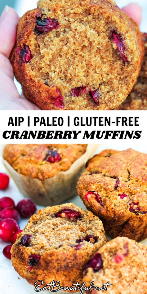 Nut Free Muffins, Gluten Free Cranberry Muffins, Aip Muffins, Aip Breakfast Recipes, Paleo Cranberry Muffins, Aip Sweets, Egg Free Muffins, Aip Bread, Aip Baking