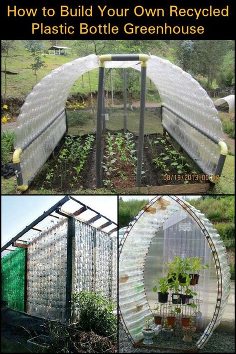 Did you know that you can turn used plastic bottles into a greenhouse? Learn how to do it here! Diy Small Greenhouse, Bottle Greenhouse, Plastic Bottle Greenhouse, Pvc Greenhouse, Cheap Greenhouse, Reuse Plastic Bottles, Diy Plastic Bottle, Build A Greenhouse, Indoor Greenhouse