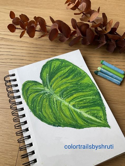 Philodendron Leaf, Leaf Artwork, Chalk Pastel, Oil Pastel Paintings, Pencil Shading, Oil Pastel Art, Leaf Drawing, Pastel Paintings, Chalk Pastels