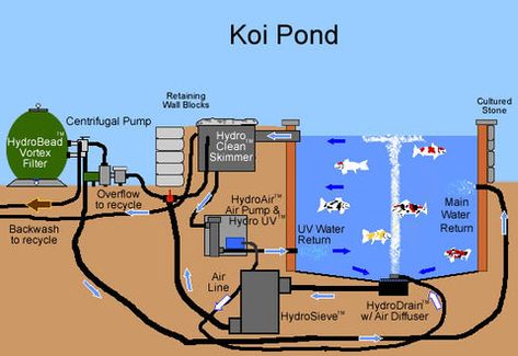 Koi Pond Backyard, Fish Ponds Backyard, Pond Koi, Koi Pond Design, Pond Construction, Kolam Air, Fish Pond Gardens, Kolam Koi, Taman Air