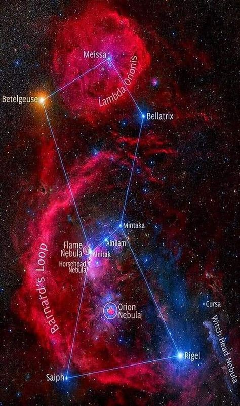 Red Nebula, Rosette Nebula, Horsehead Nebula, Orange Star, Orion Constellation, Astronomy Pictures, Hubble Images, Stars In The Sky, Space Facts