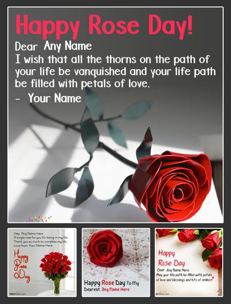 Rose Day Wishes For Girlfriend, Rose Day Messages For Him, Rose Day Wishes For Him, Rose Day Quotes For Girlfriend, Special Quotes For Her, Rose Day Special, Rose Day Wishes, Text Messages Humor, 2024 Wishes