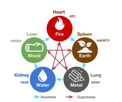 Chinese Medicinal Herbs, Element Chart, Ayurveda Life, Chemical Energy, The Five Elements, Five Elements, Western Medicine, Energy Healing Spirituality, Fifth Element