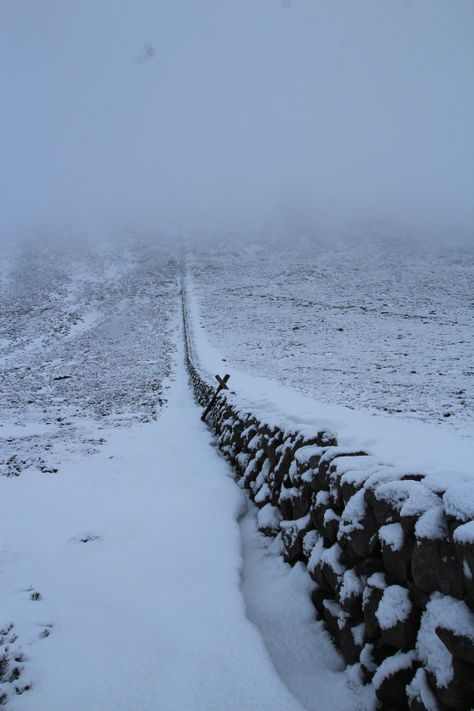 Snow In Ireland, Winter In Ireland, Ireland Landscape Nature, Christmas Ireland, Cats Mood, Ireland Winter, Connemara Ireland, Christmas In Ireland, Canada Snow