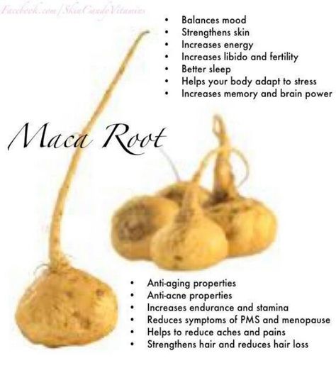 Maca Root Marriage Bedroom, Maca Root Capsules, Squats Workout, Healthy Pregnancy Tips, Maca Root, Healing Food, Healing Herbs, Natural Home Remedies, Healthy Pregnancy