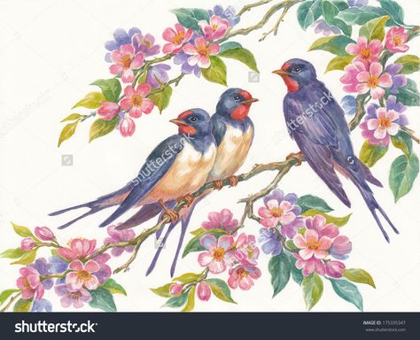 Watercolor painting, birds and flowers. Swallows on apple-tree. Happy Mom Day, Tree Watercolor Painting, 강아지 그림, Blue Birds, Watercolor Trees, Bird Pictures, Birds Tattoo, Bird Drawings, Bird Illustration