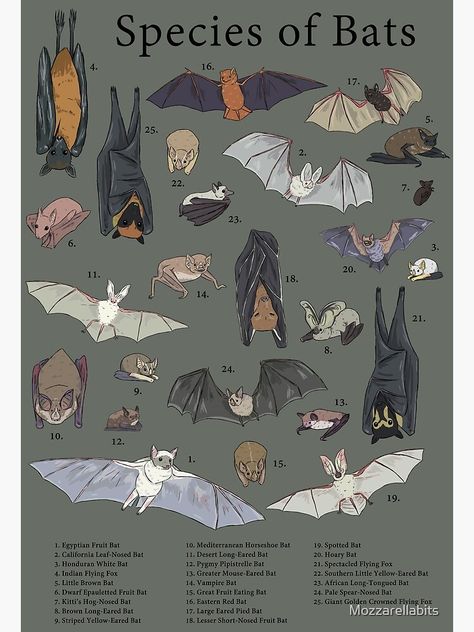 Types Of Bats, Halloween Painting, Postcards For Sale, Poster Poster, Top Artists, Sale Poster, Sell Your Art, Google Images, Independent Artist