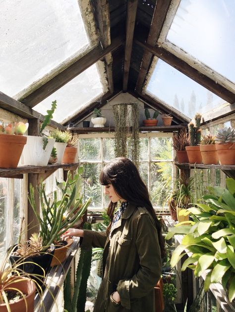 A Woman, Plants