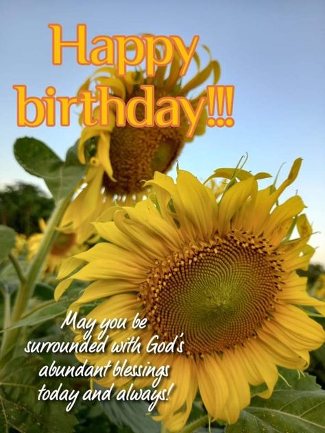 Sunflowers Happy Birthday, Happy Birthday With Sunflowers, Sunflower Birthday Wishes, Happy Birthday Sunflower, Happy B Day Images, Happy Blessed Birthday, Birthday Wishes For Women, Happy Birthday In Spanish, Happy Birthday Wishes For A Friend