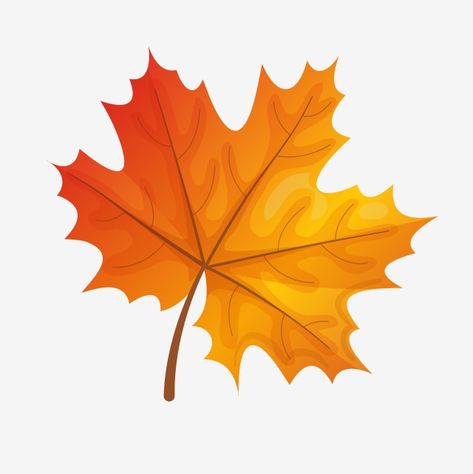 Fall Leaves Cartoon, Maple Leaf Images, Maple Leaf Clipart, Leaves Cartoon, Fall Leaves Drawing, Fall Leaves Png, Cartoon Leaf, Leaves Drawing, Fall Begins