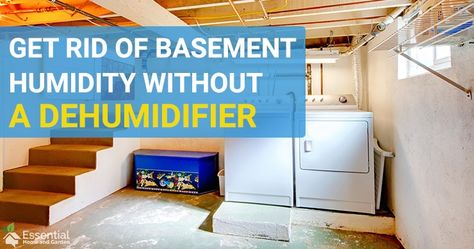 Basement Mold Removal, Musty Basement How To Get Rid Of, Natural Dehumidifier Diy, Basement Ventilation Ideas, Dehumidifier Diy, Natural Dehumidifier, Basement Odor, Mold In Basement, Basement Ventilation