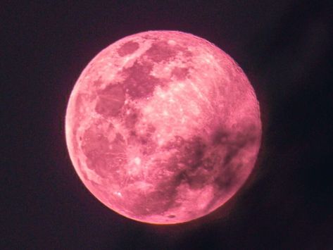 Strawberry Moon Aesthetic, Pink Moon Aesthetic, Full Moon Dates, Strawberry Full Moon, Pink Moon Wallpaper, Pink Full Moon, Full Moon In Sagittarius, Full Moon In Pisces, Full Moon In Libra