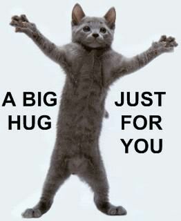 Hug Meme, Laika Dog, Cat Hug, Silly Cats Pictures, Cute Messages, Cute Memes, Funny Reaction Pictures, Cute Texts, Funny Cute Cats