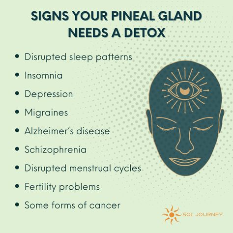 Pineal Gland Decalcify, Pineal Gland Facts, Decalcify Pineal Gland, Pineal Gland Activation, My Manifestation, Yoga Flow Sequence, Quantum Healing, Spiritual Universe, Ayurveda Life