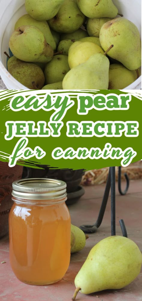 Canning Ginger, Pear Jelly Recipes, Pear Recipes Easy, Fermenting Recipes, Pear Jelly, Fall Canning, Canning Jams, Canning Pears, Fruit Butters