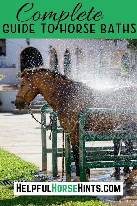 There are three main types of baths you could give your horse. They are hot toweling, rinsing off and a full bath. In this article we give complete instructions for each type of horse bath. Horse Bathing Station, Horse Maintenance, Horse Bath, Stable Management, Horseback Riding Tips, Riding Tips, Horse Washing, Heath Care, Horse Care Tips