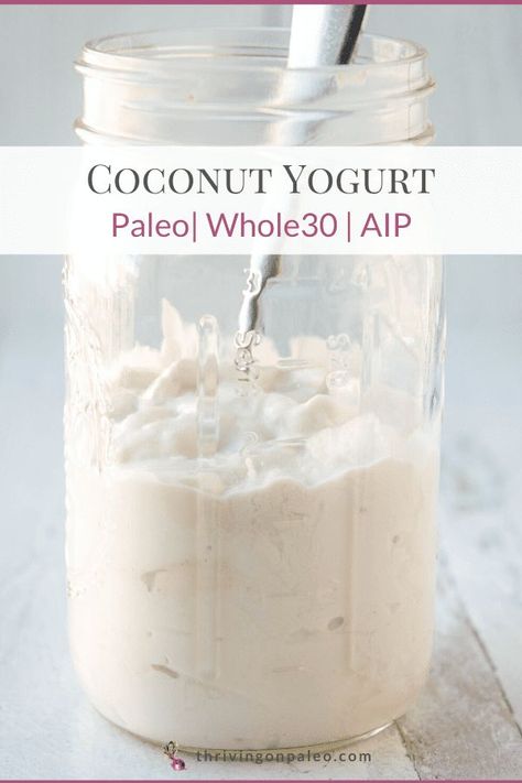 A creamy dairy-free coconut yogurt made from coconut milk will satisfy that desire without making you sick if dairy is a problem! Super easy to make! Aip Condiments, Coconut Yogurt Recipe, Aip Keto, Aip Foods, Autoimmune Diet Recipes, Aip Diet Recipes, Aip Snack, Paleo Condiments, Aip Breakfast