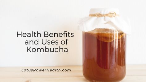 Kombucha Health Benefits, Benefits Of Kombucha, Kombucha Benefits, Kombucha Flavors, How To Brew Kombucha, Kombucha Recipe, Homemade Kombucha, Healthy Probiotics, Fermented Tea