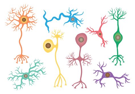 Free Neuron Icons Vector Dystopian Art, Chemistry Art, Brain Book, Scanning Electron Micrograph, Microscopic Photography, Urban Design Graphics, Biology Art, Nursing School Survival, Brain Science