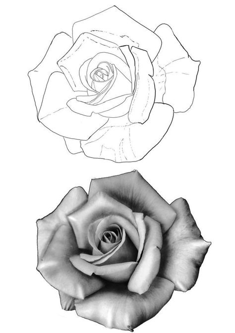 Tato Realis, Rose Tattoo Stencil, Realistic Rose Tattoo, Rose Flower Tattoos, Rose Drawing Tattoo, Rose Stencil, Black And White Roses, Flower Tattoo Drawings, Rose Sketch