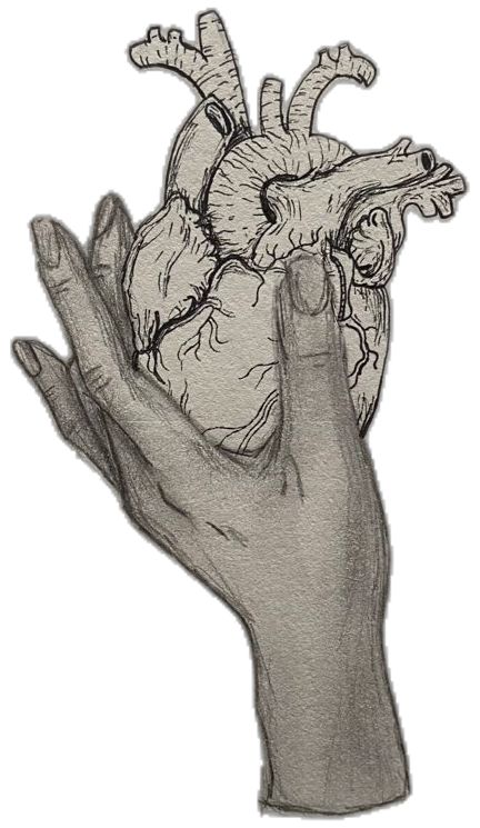 Skeleton Hand Reaching For Human Hand, Person Holding Butterfly Reference, Hand Holding Heart Reference, Hands Reaching For Eachother, Holding Heart Pose, Hand Holding Heart Drawing, Holding Heart Reference, Open Hands Drawing, Hand Heart Drawing