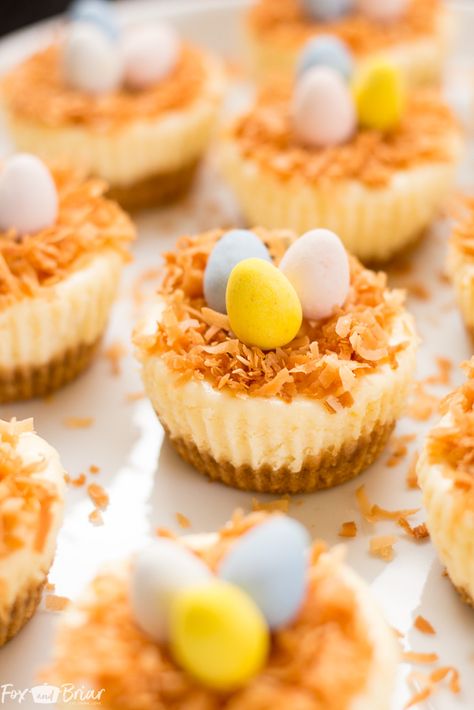 Easter Birds Nest Mini Cheesecakes | Easter Dessert | Cute Dessert | Mini Cheesecakes |mini eggs Easter Birds Nest, Yummy Easter Desserts, Dessert Mini, Easter Nests, Easter Desserts Recipes, Festive Desserts, Cookie Cups, Mini Eggs, Mini Cheesecakes