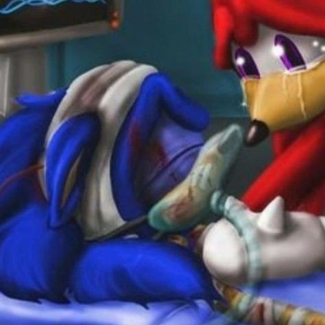 sonic and knuckles matching icons Sonic And Knuckles, Matching Pfp, Matching Icons, Sonic, Red