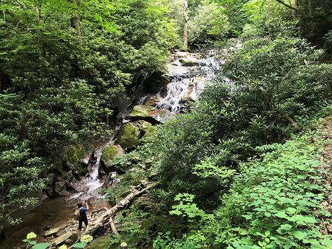 40 Wonderful Places to Visit in the High Country (Boone, Blowing Rock, and More!) North Carolina Day Trips, Waterfall Park, Visit North Carolina, Burney Falls, Pisgah National Forest, Blowing Rock, Waterfall Hikes, New River, Memorial Park