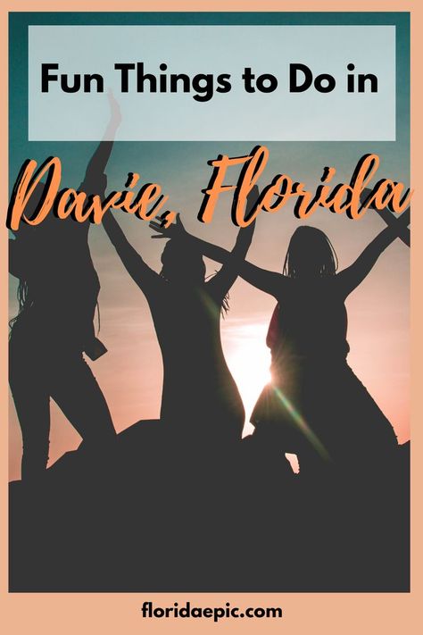 Davie Florida, Fort Lauderdale, Fun Things, Fun Things To Do, Fort, Miami, Things To Do, Florida, Drive