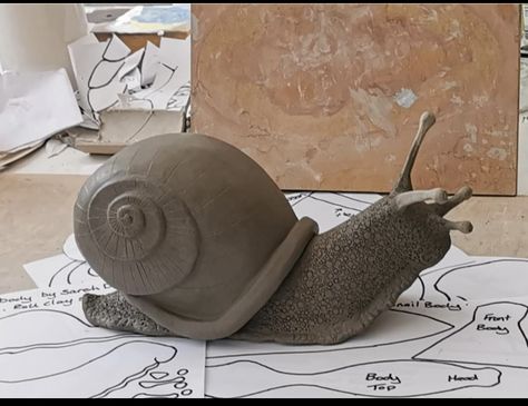 Snail Sculpture, Big Bugs, Animal Pottery, Snail Art, Snail Shell, Instructional Video, Mud Room, Teaching Tools, Pottery Ideas