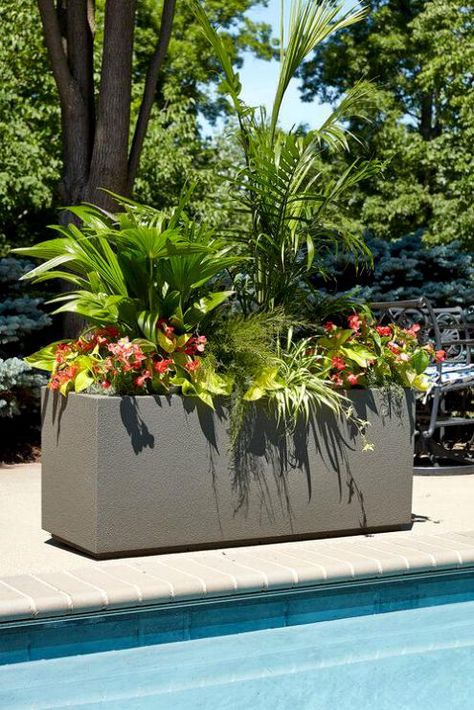 Pool Planter Boxes, Pool Side Potted Plants, Large Planters Outdoor Full Sun, Planters In Landscaping, Pool Side Plants, Tropical Planter Ideas, Patio Planter Ideas Plant Pots, Planters Around Pool, Patio Planter Ideas