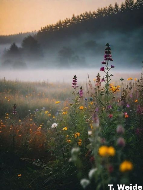 Wild Flower Seeds Planting, Wild Flower Field Aesthetic, Wildflower Field Aesthetic, English Wildflowers, River Enchanted, Wildflower Aesthetic, Wild Flower Field, Rows Of Flowers, Fields Of Flowers