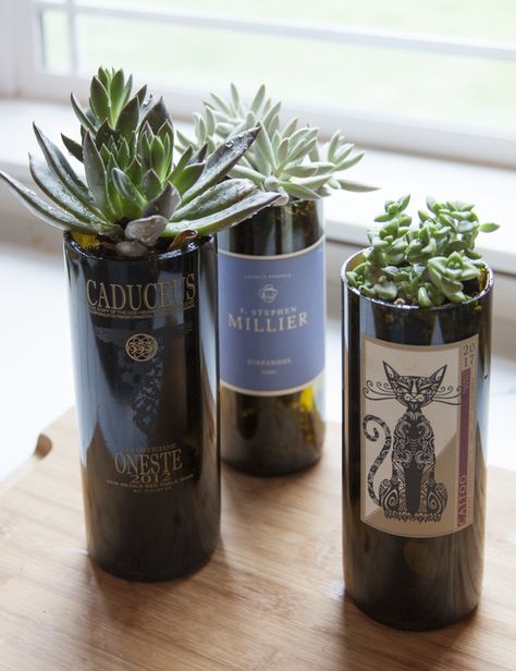 DIY Wine Bottle Planters: Upgrade your old bottles into fabulous planters every wine enthusiast & plant lover can apprecitate! Cool Wine Bottle Ideas, Wine Bottle Diy Decor, Wine Bottle Upcycle Ideas, Wine Bottle Planter Diy, Old Bottles Diy, Wine Bottle Plants Ideas, Glass Wine Bottles Diy Craft Ideas, Wine Bottle Design Ideas, Cut Wine Bottle Crafts