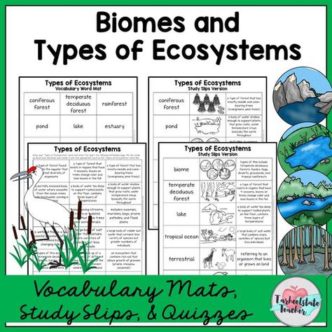 FREE RESOURCE LIBRARY-Tarheelstate Teacher Ecology Lessons Middle School, Ecosystem Bulletin Board, Habitats Activities For Kids, Ecosystems 4th Grade, Ecology Activities, Types Of Ecosystems, Teaching Ecosystems, Kingdom Classification, Ecosystem Activities