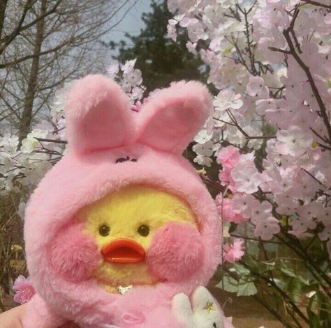 ˗ˏˋ💛ˎˊ˗┊pinterest:                                Roseanne̥⋆｡˚ Cute Ducklings, Duck Toy, Baby Ducks, Aesthetic Pics, Kawaii Aesthetic, Cute Stuffed Animals, Cute Memes, Cute Toys, Pretty And Cute