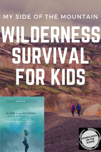 My Side of the Mountain   Wilderness Survival   GIVEAWAY Survival Unit Study, My Side Of The Mountain, Wilderness Quotes, Homeschool Fun, Club Activities, Bear Grylls, Survival Life Hacks, Survival Shelter, Life Learning