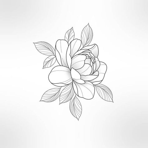 Gardenia Tattoo, Peony Flower Tattoos, Peony Drawing, Yakuza Tattoo, Peonies Tattoo, Tatuaje A Color, Floral Tattoo Design, Design Drawings, Flower Tattoo Designs