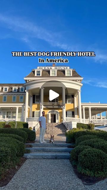 CORGI • LUXURY TRAVEL • DOG TRAVEL on Instagram: "The BEST dog friendly hotel experience in America 🇺🇸

📍@oceanhouseri by @relaischateaux in Rhode Island 

Dogs are welcomed with warm bone broth made fresh for your pup, while you sip on 🥂

🛌 A dog bed, bath robe, Bowls, a ball launcher are provided

🐾Pet programe offers a dog menu, which can be orders as room service.

🛎️ Pet concierge to provide the latest information about pet walk areas and to assist with arrangements for pet sitting services upon request.

The policy:
•Well-mannered dogs 50 pounds and under welcomed at Ocean House (read pinned comment for exceptions) 
•Up to two dogs per room are allowed
A $195 (non-refundable) pet fee applies for each stay, for each pet. This fee covers deep cleaning of the guest room and other