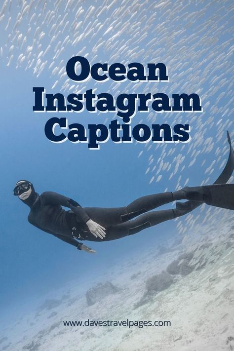 Underwater Captions Instagram, Underwater Captions, Sea Quotes Instagram Caption, Quotes Sea Ocean, Ocean Captions Instagram, Ocean Instagram Captions, Underwater Quotes, Water Captions, Whale Quote