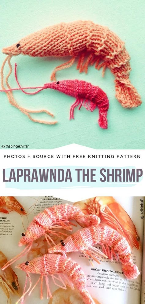 LaPrawnda the Shrimp Free Knitting Pattern #knittedfish Small Knitting Projects, Animal Knitting Patterns, Knitting Patterns Toys, Free Knitting Patterns, Knitted Animals, Diy Crochet Projects, Free Knitting Pattern, Knitted Toys, Knitting Inspiration