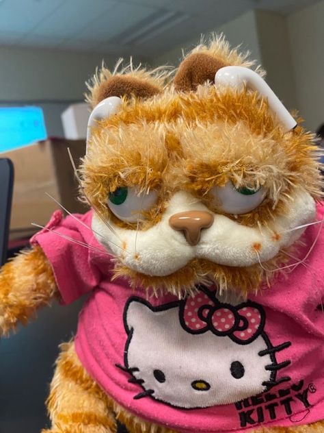 Garfield And Hello Kitty, Garfield Stuff, Garfield Plush, Fat Orange Cat, Garfield Pictures, Animal Plushies, Garfield Images, Garfield Cat, Cat Plush