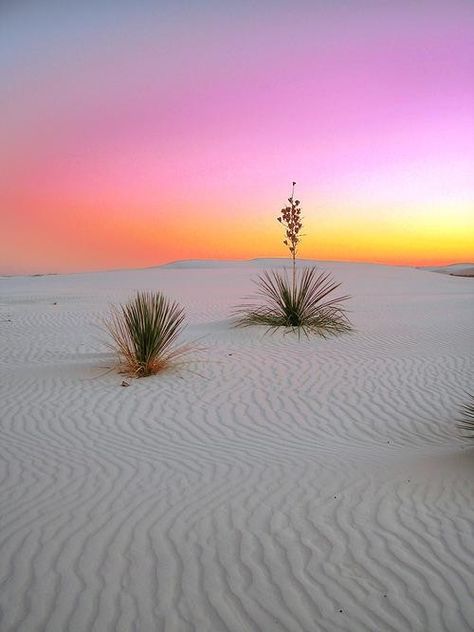 Sunrise in White Sands National Monument Travel New Mexico, White Sands National Monument, Land Of Enchantment, Beautiful Sunrise, Sand Dunes, In The Desert, National Monuments, The Desert, Beautiful World