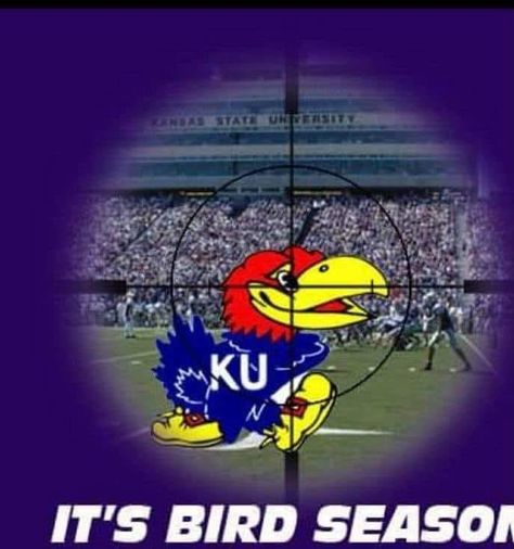 Kansas State Football, Ksu Wildcats, Wildcats Football, Ku Jayhawks, K State, Kansas State University, Kansas State Wildcats, Kansas State, Wild Cats