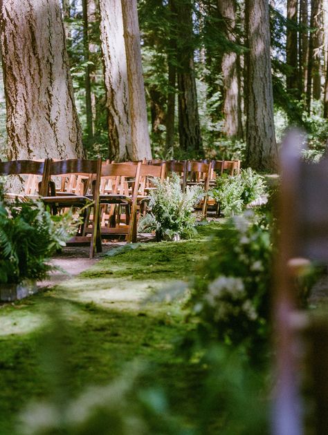 Clean Wild Wedding, Wildflower Forest Wedding, Wedding Aisle Forest, Lavender Forest Wedding, Lavender And Moss Wedding, Wedding Ceremony Forest, Rug Wedding Aisle Forest, Kitsap Memorial State Park Wedding, State Park Pavilion Wedding