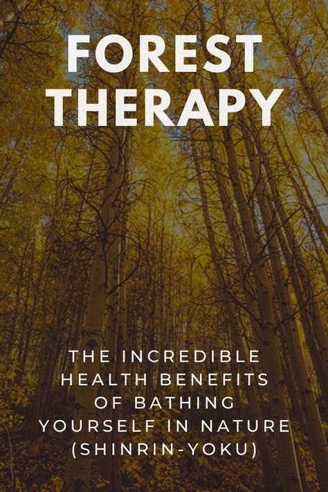 Benefits Of Being In Nature, Forest Bathing Benefits, Shirin Yoku, Nature Benefits, Forest Living, Forest Therapy, Japanese Practice, Nature Therapy, Shinrin Yoku