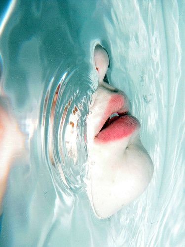 By Louiseimogen Breathing Underwater, Bawah Air, Have Inspiration, Water Photography, Underwater Photography, 인물 사진, 그림 그리기, Hanging Out, Photo Inspiration