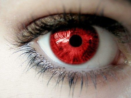 Red | What is your true eye color? - Quiz Red Eye Makeup, Behind Blue Eyes, Eye Pictures, Eyes Wallpaper, Red Makeup, Aesthetic Eyes, Human Eye, Eye Art, Red Eyes