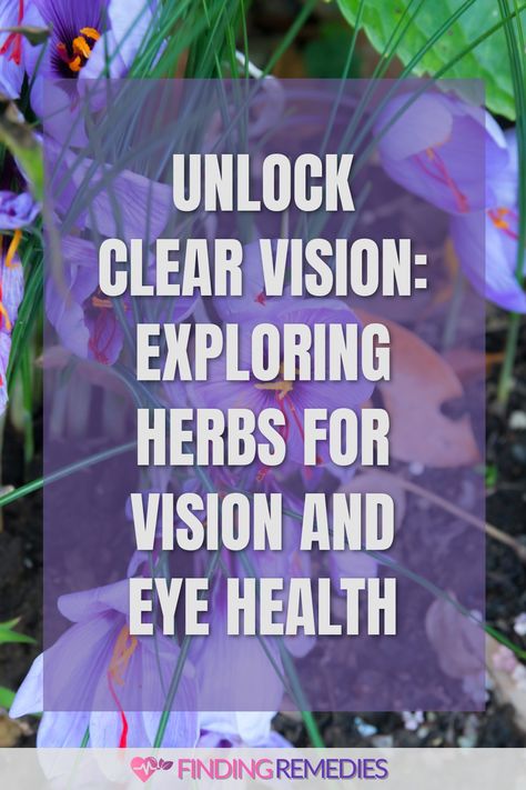 Unlock Clear Vision: Exploring Herbs for Vision and Eye Health Herbs For Eye Health, Herbs For Eyesight, Eye Vision Improvement, Improve Eyesight Naturally, Eye Health Remedies, Eye Medicine, Village Witch, Eye Vision, Herbal Therapy